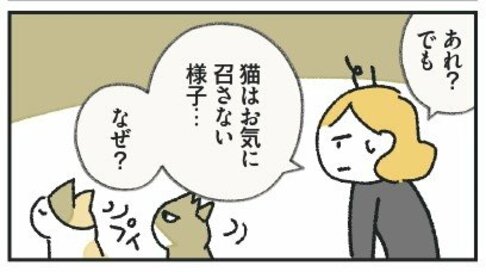 猫が“NG”を出す意外な「部屋のレイアウト」とは。SNSで大人気の獣医師・にゃんとす先生に聞いてみた