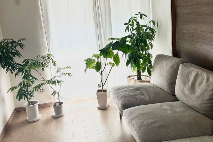 テレビを手放しリビングがすっきり