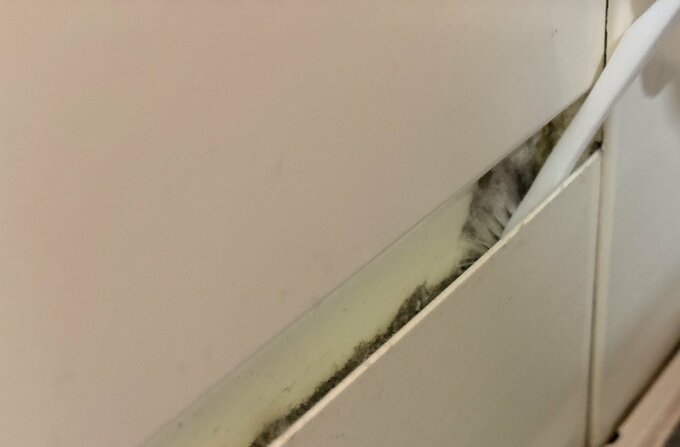 歯ブラシ掃除。ホコリはダニのエサだと思うと、掃除をする気になります。水回りにはホコリが溜まりやすいので、またか、と思うこともあります