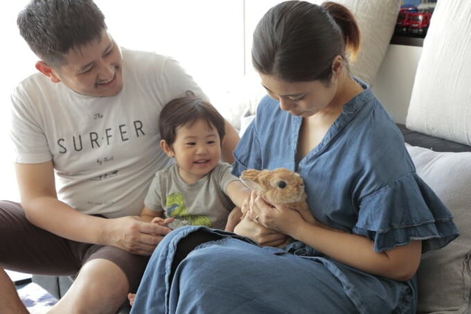 うさぎがいる暮らし