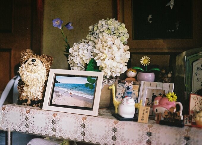 犬ミュージアム