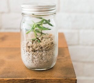 100円グッズでテラリウム！トレンドのグリーンをカフェ風に取り入れるコツ