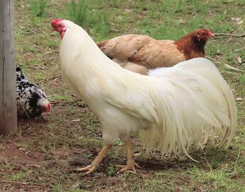 「マインクラフト」は知識の宝庫。マイクラでわかる自然界のおもしろ知識4つ