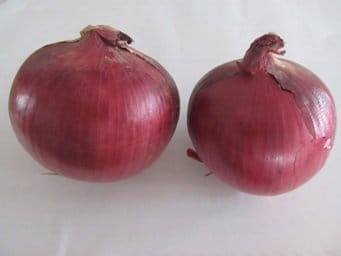 レッドオニオン