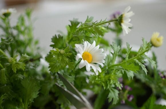 水を入れた鉢にいける