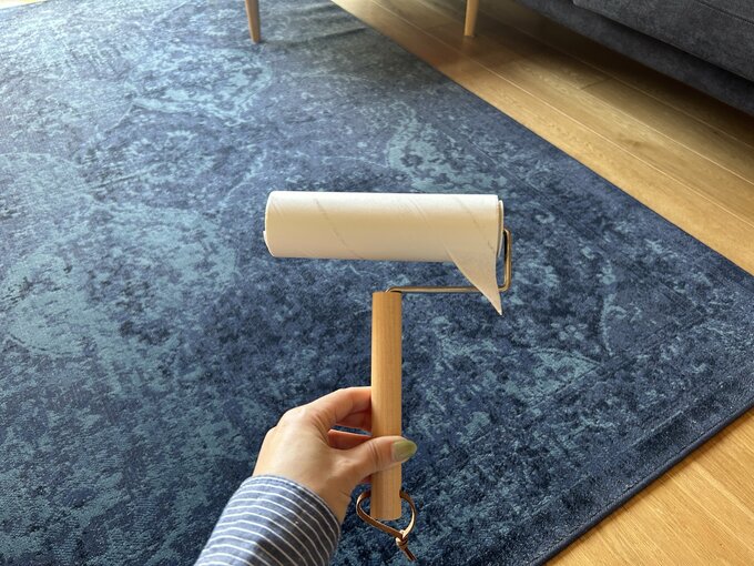 カーペットクリーナーはがした図