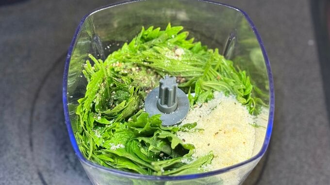 材料をミキサーに加えた様子