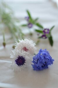 お母さんの好きなお花をリサーチして選んでもいいですね。