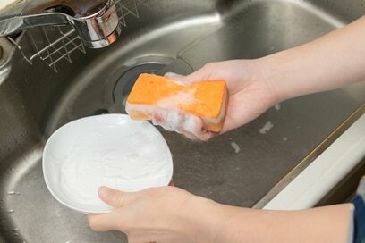 食器洗い用スポンジはいつ買い替えるのが正解？ “捨てどき”を見極める3つのポイント