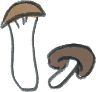 イラストきのこ