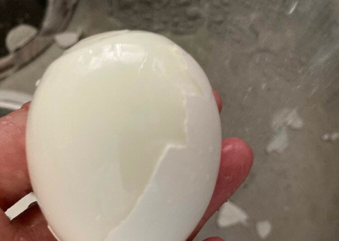 見事なゆで卵が