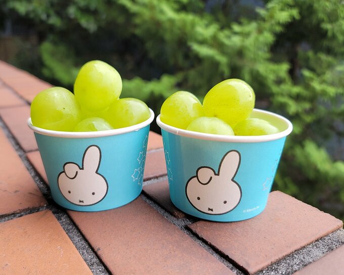 カップに入ったシャインマスカット