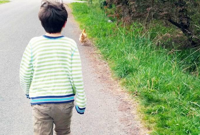 散歩をする子ども