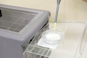 【2】上の引き出しのシャーレにラップを敷き、その上にコットンを置き、イソ吉草酸を0.02ミリリットル滴下し、引き出しを閉める。