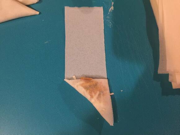 サモサ風バターチキン春巻き