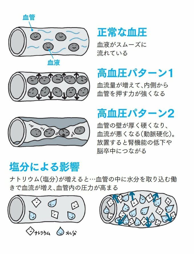 『わたしの血圧ノート2024』（扶桑社刊）内の解説イラスト