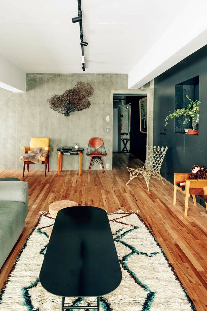 リビングの壁に飾った大きなウミウチワの標本