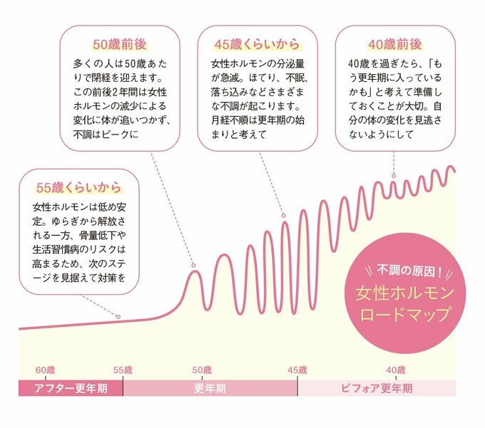 ホルモンロードマップ