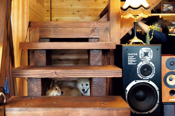 階段の踊り場の下をオープンにして2匹のおこもりスペースに