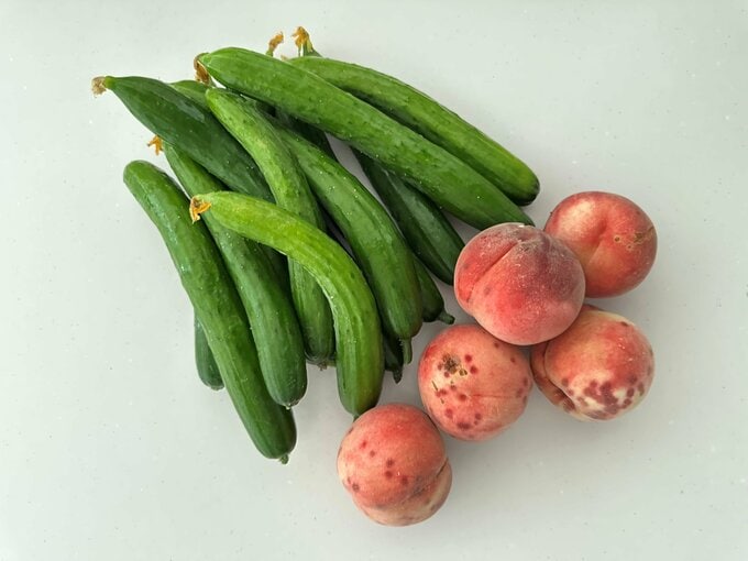 野菜と果物