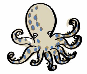 ヒョウモンダコ