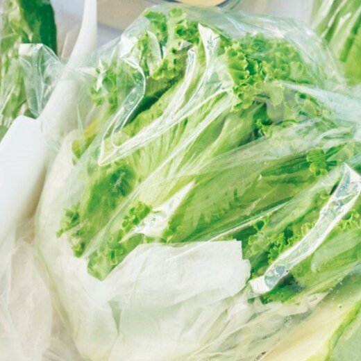 保存袋に入った野菜