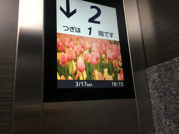 お花について