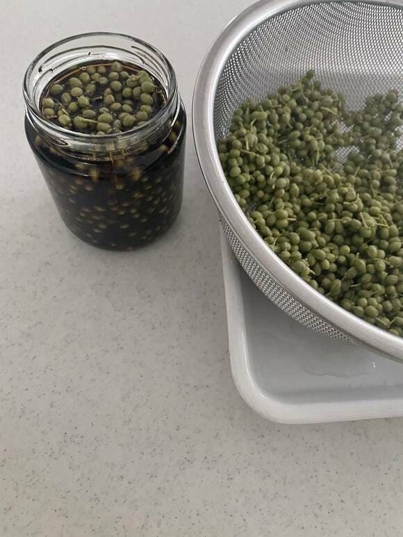 ザルとビンに山椒