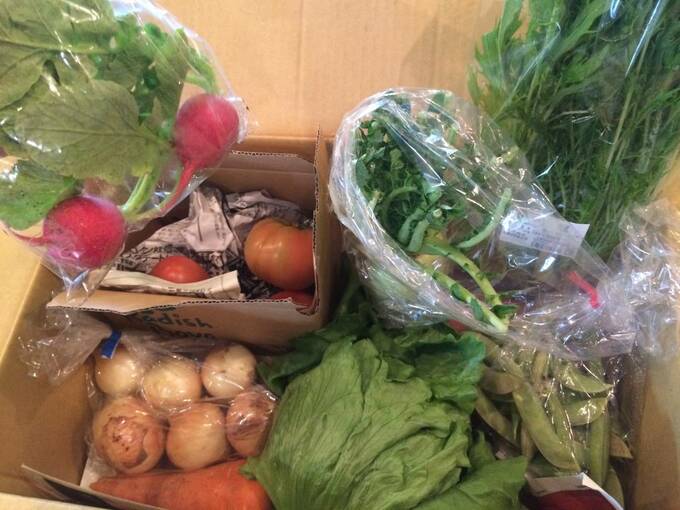 現在取り寄せている有機野菜