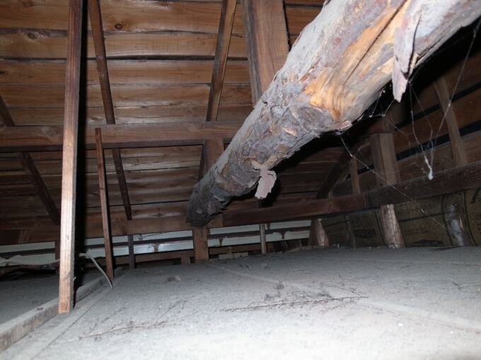 断熱材が入っていない天井裏