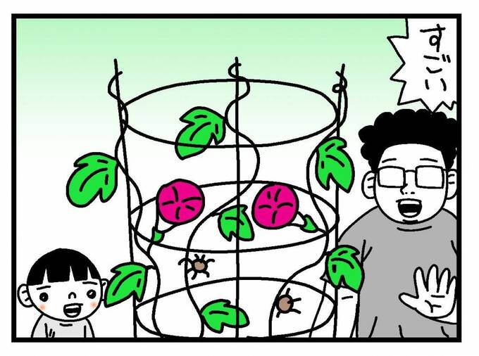 イラスト:蘇った朝顔