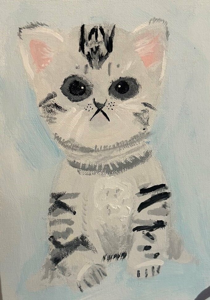 猫