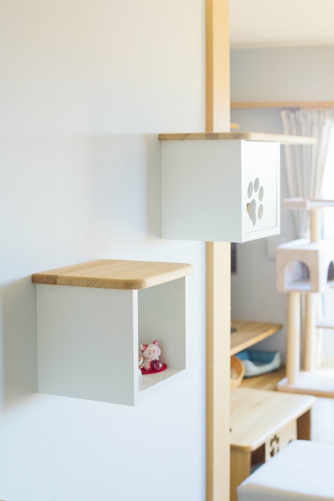 ネコ用ステップ