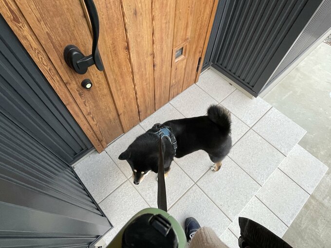 犬も落ちそうな玄関ポーチ