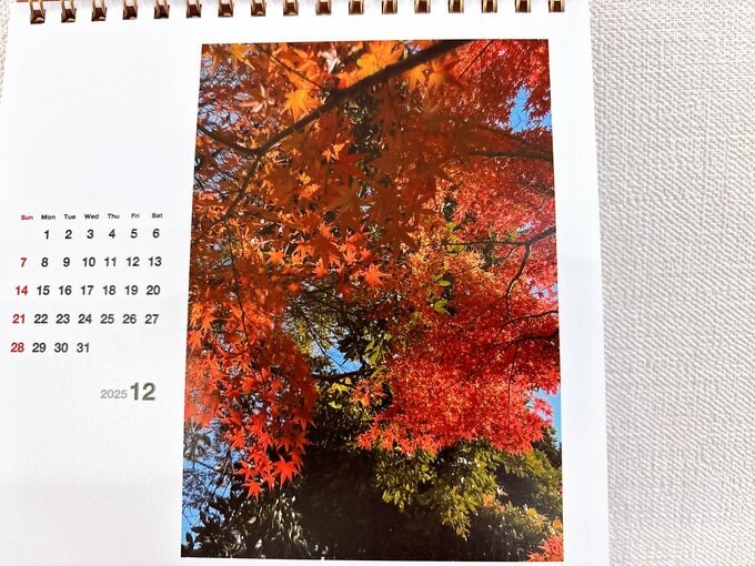 カレンダー　12月