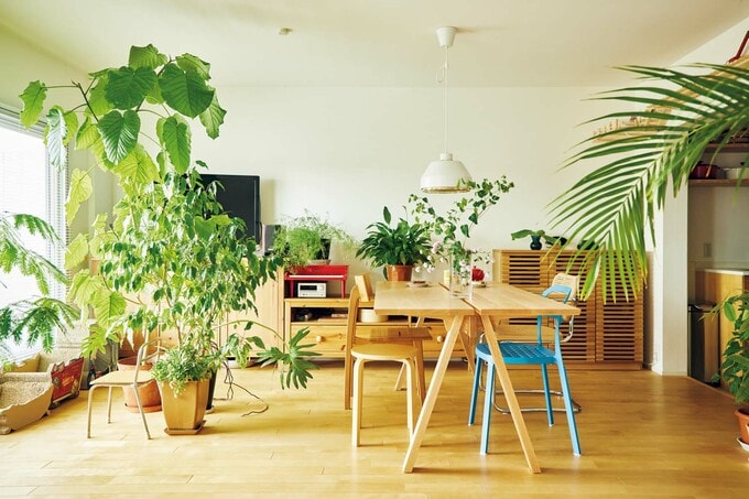 床は無垢のカバ桜