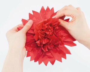 持ち上げたら裏返し、反対側も同様に広げていく