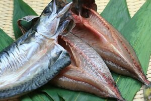 魚介類の正しい冷凍保存法【アジ・イワシ・カキ】