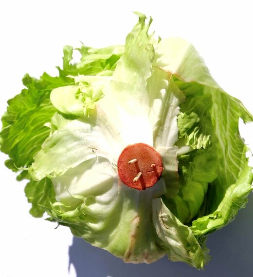 芯