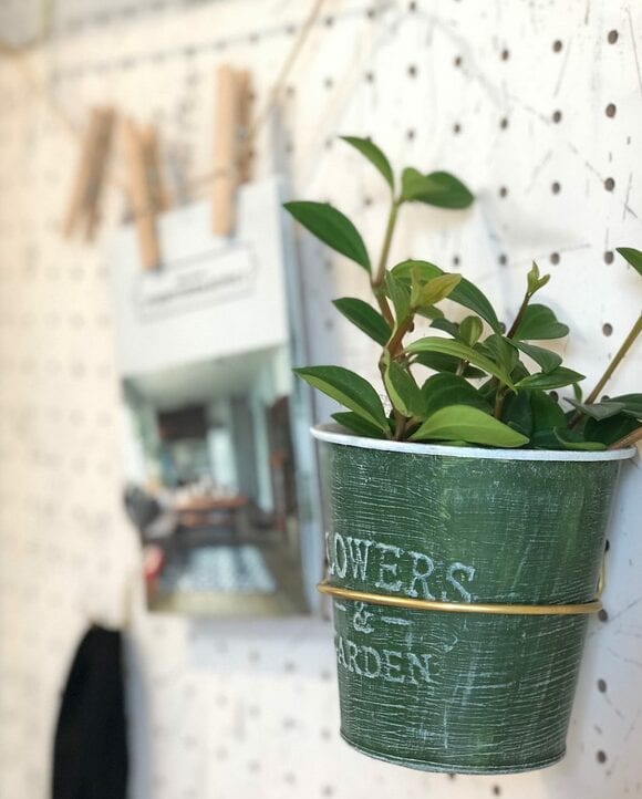ブリキ缶植栽