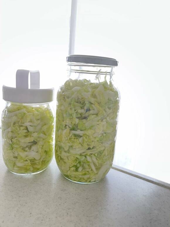 ビンにキャベツ