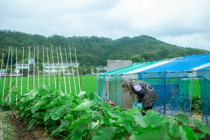 ひろちゃん農園 ひろちゃん
