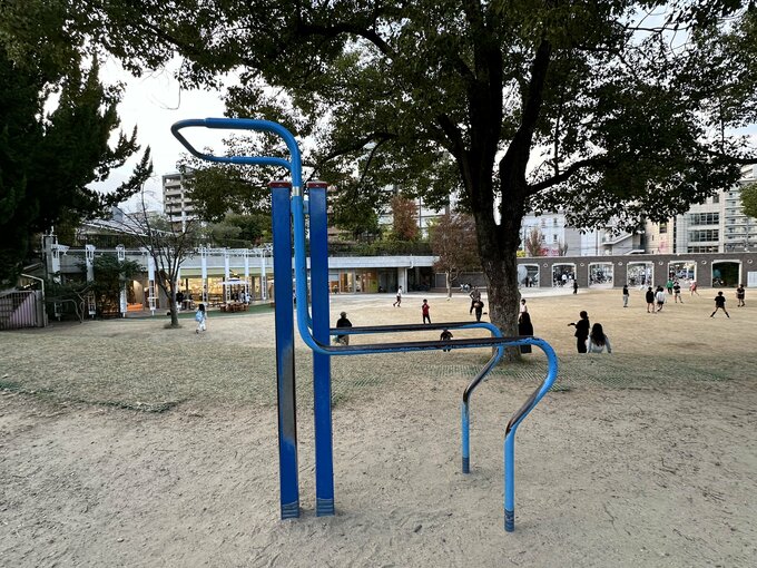 公園　健康遊具
