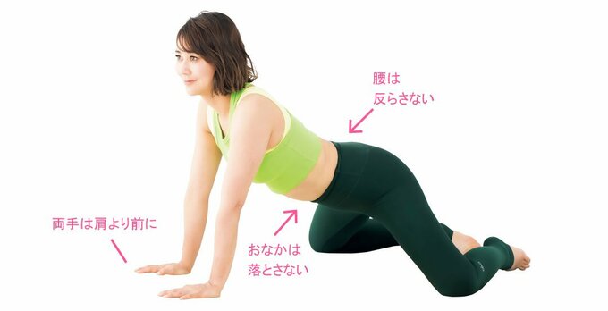ひざを広げて四つんばいになる