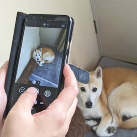 わんこのかわいい瞬間を激写！ただし気をつけたいことが…