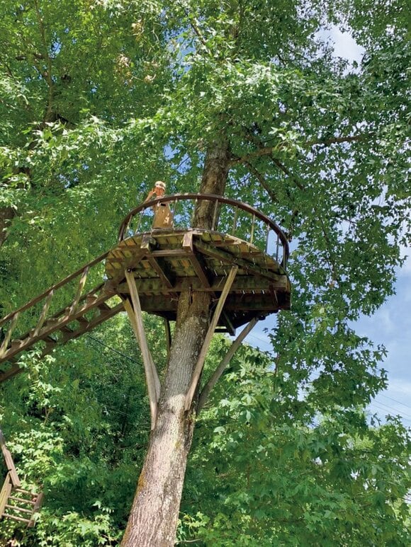木の途中にツリーハウス