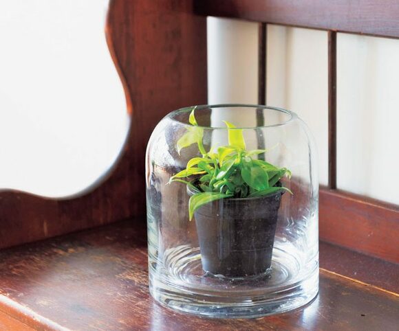 すっぽり入れる