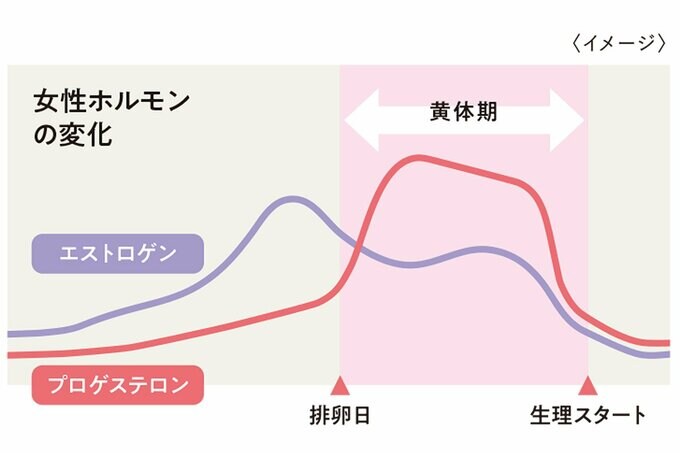 女性ホルモンの変化を表すグラフ