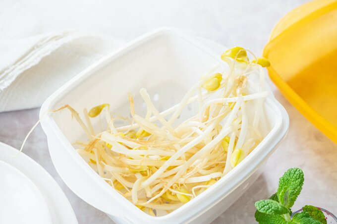 水は毎日替えて!