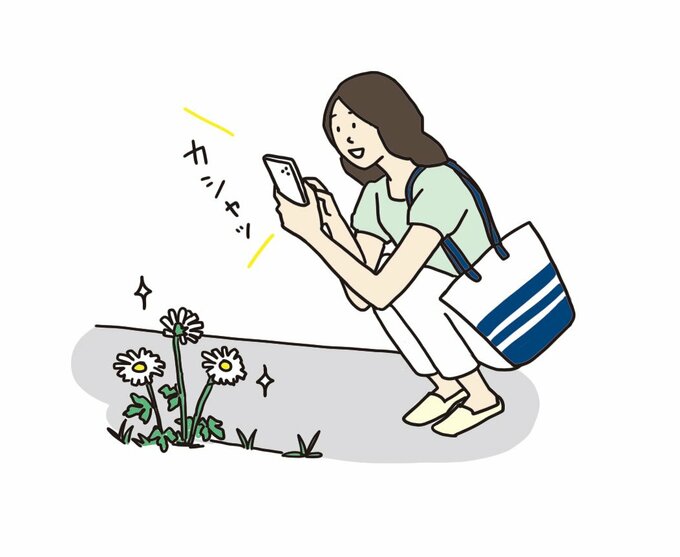 心を整えると自律神経も整う